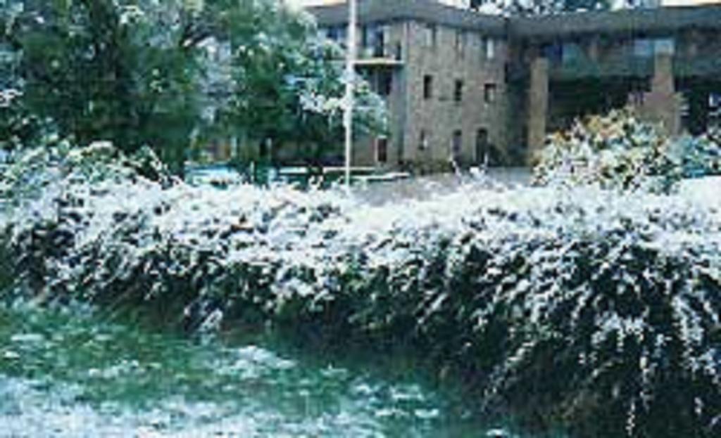 Southern Cross Motor Inn Berridale Εξωτερικό φωτογραφία